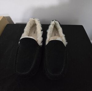 UGG K ASCOT